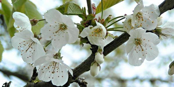 Vacances de printemps pour - de 6 ans