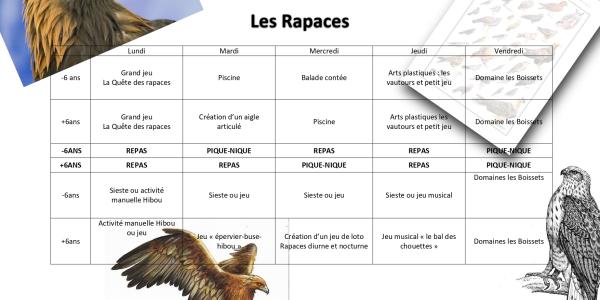 semaine-5-les-rapaces-6a43cc63ad103201869890.jpg