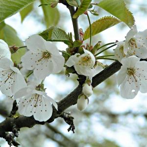 Vacances de printemps pour + de 6 ans